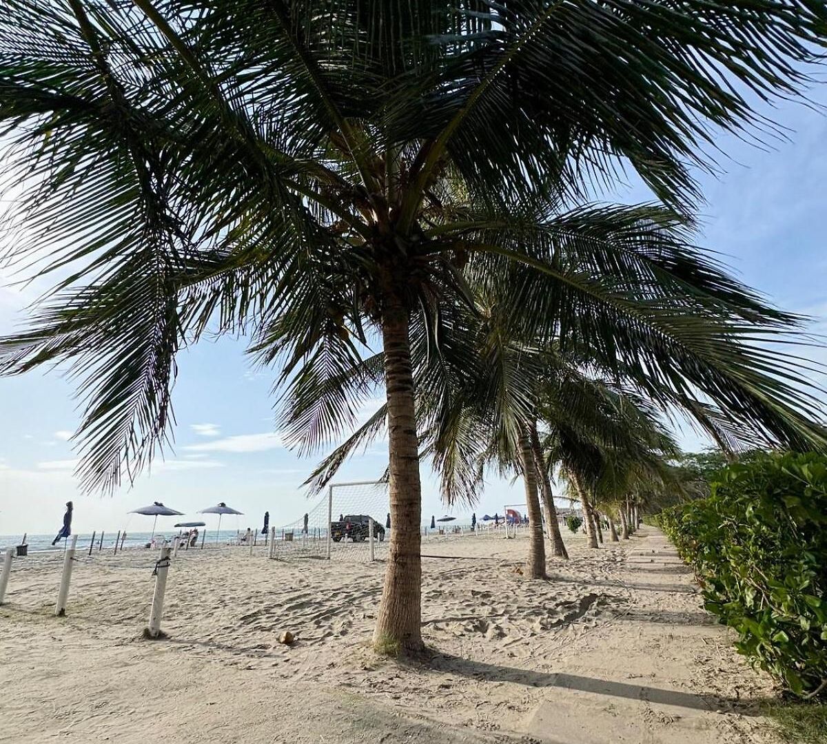 Despierta Frente Al Caribe En Morros Zoe Apartamento